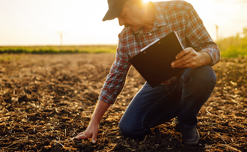Roundup Ready 2 Xtend® Soybeans Bayer Traits Crop Science US