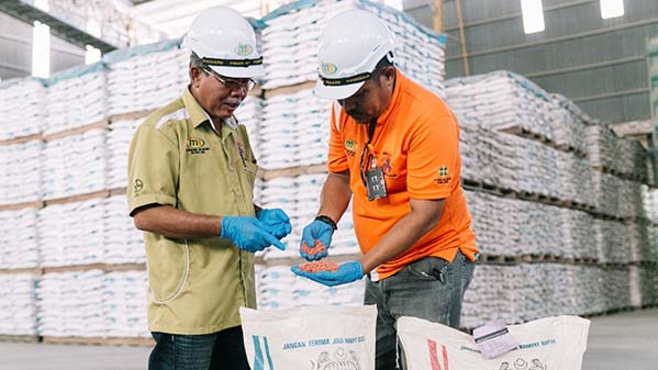 Rice growers showing treated seeds