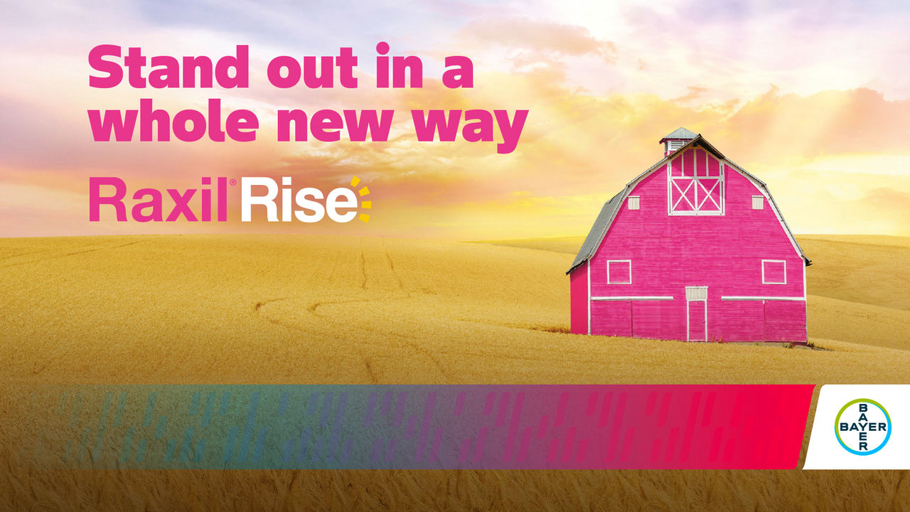 Raxil Rise is a new seed treatment for wheat in Canada