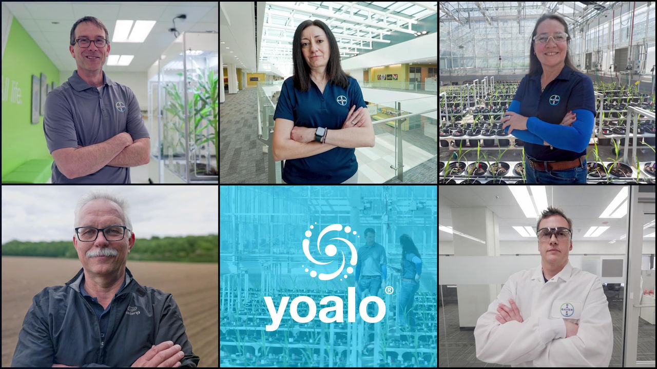 Yoalo - the new biostimulant 