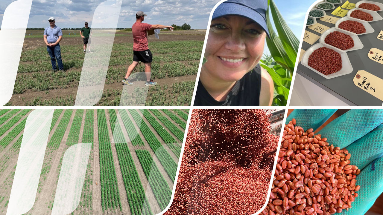 Raxil Suscces Story in Canada