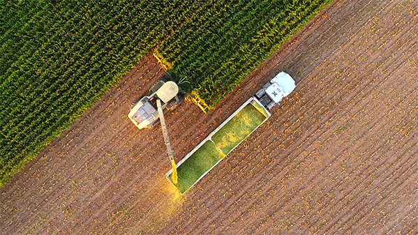 Drone flight over a field.