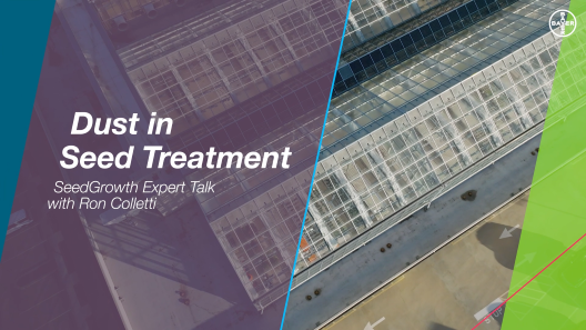 Dust in seed treatments needs to be avoided