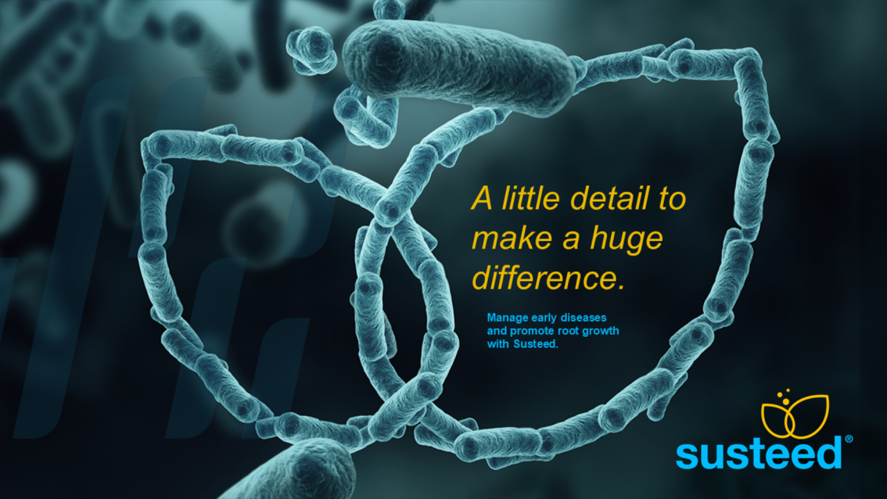 Susteed is a new biological in the SeedGrowth portofolio
