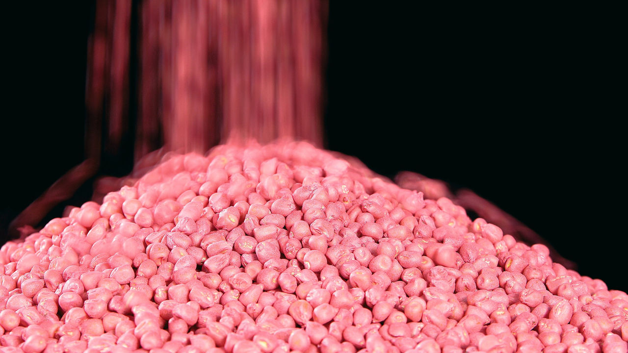 SeedGrowth treated seeds / Step Technology