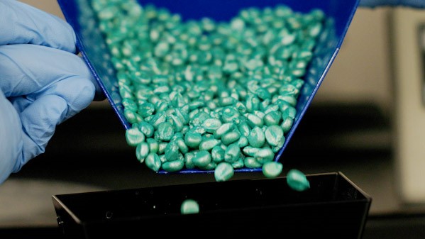 SeedGrowth treated seeds