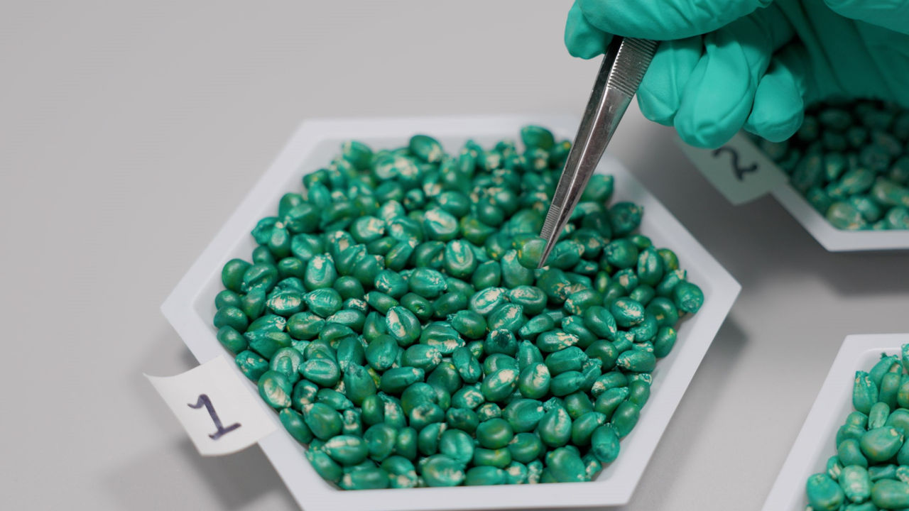 Seed Treatments for Modern Agriculture | SeedGrowth Center