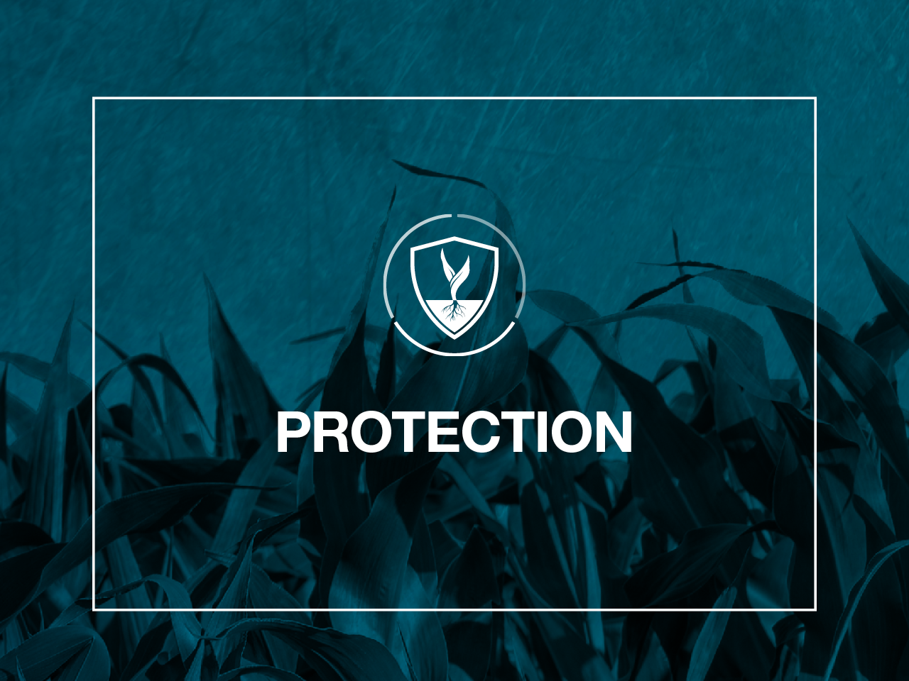 Protection