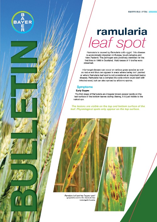 Ramularia leaf spot